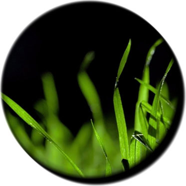 Agricultural